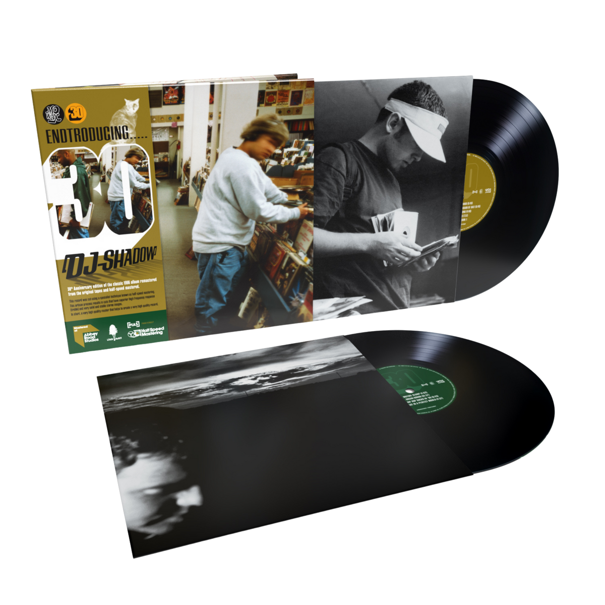 Dj shadow endtroducing USオリジナル 2LPレコード DJ Shadow - Endtroducing….. 30th Anniversary Edition 2LP