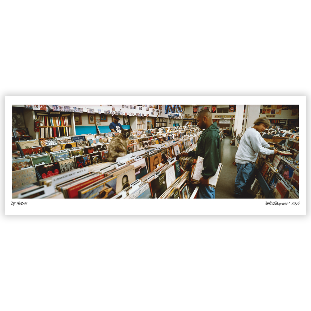 DJ Shadow Endtroducing Panoramic Poster